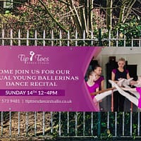 PVC Vinyl Banner 3m x 1m