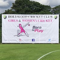 Mesh Banner 4m x 1m