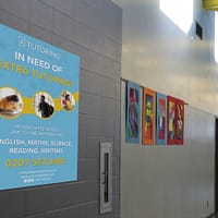 A3 Paper Posters - Image 7